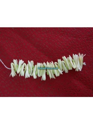 Fresh Tuberose Flower Strings – Rajnigandha / Gulchadi Lily Strings (Natural, Hand-picked)